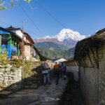 2024-10 - Népal - J05 - De Ghandruk à Tadapani - 052